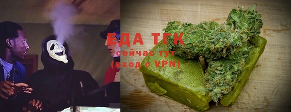 прущие грибы Коряжма