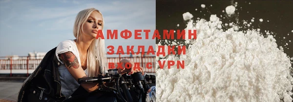 прущие грибы Коряжма