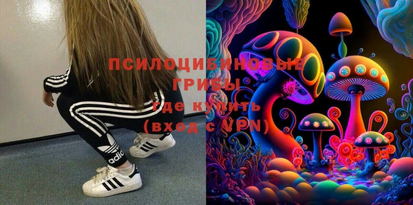 прущие грибы Коряжма