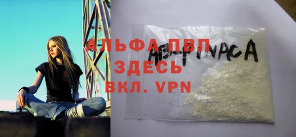 apvp Краснослободск