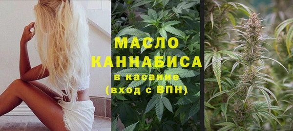 мдпв Корсаков